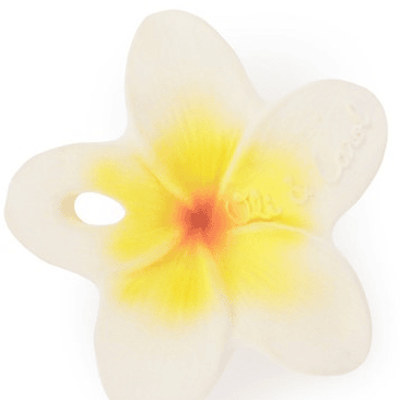 Mordedor Flor de Hawaii