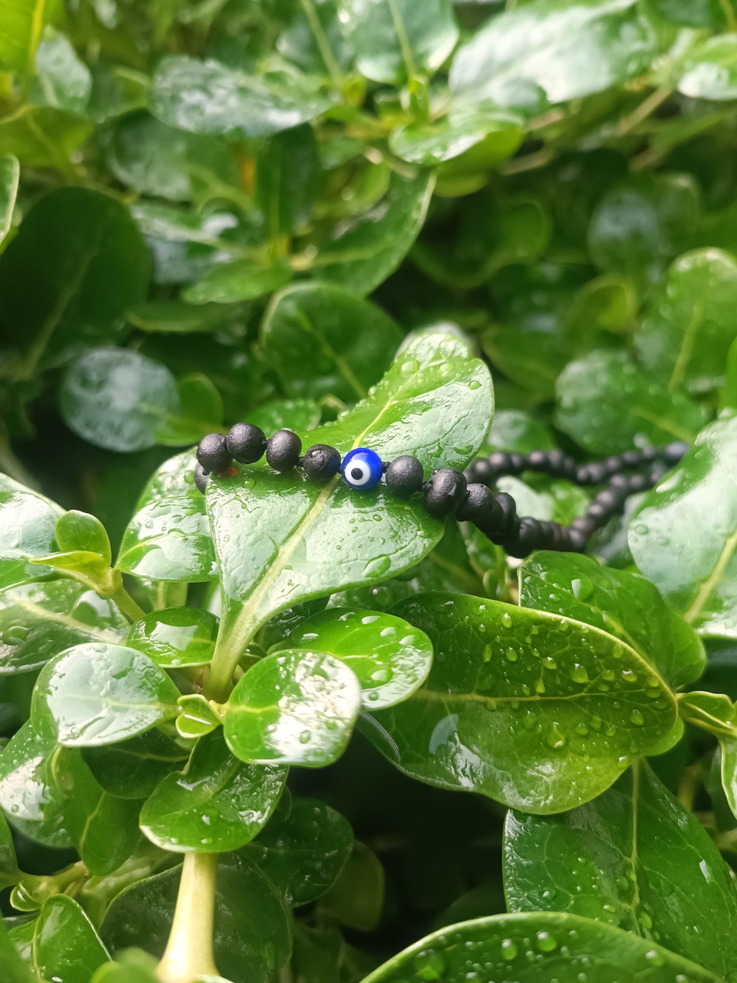 Collar de ámbar cereza mil energías - 38 cm