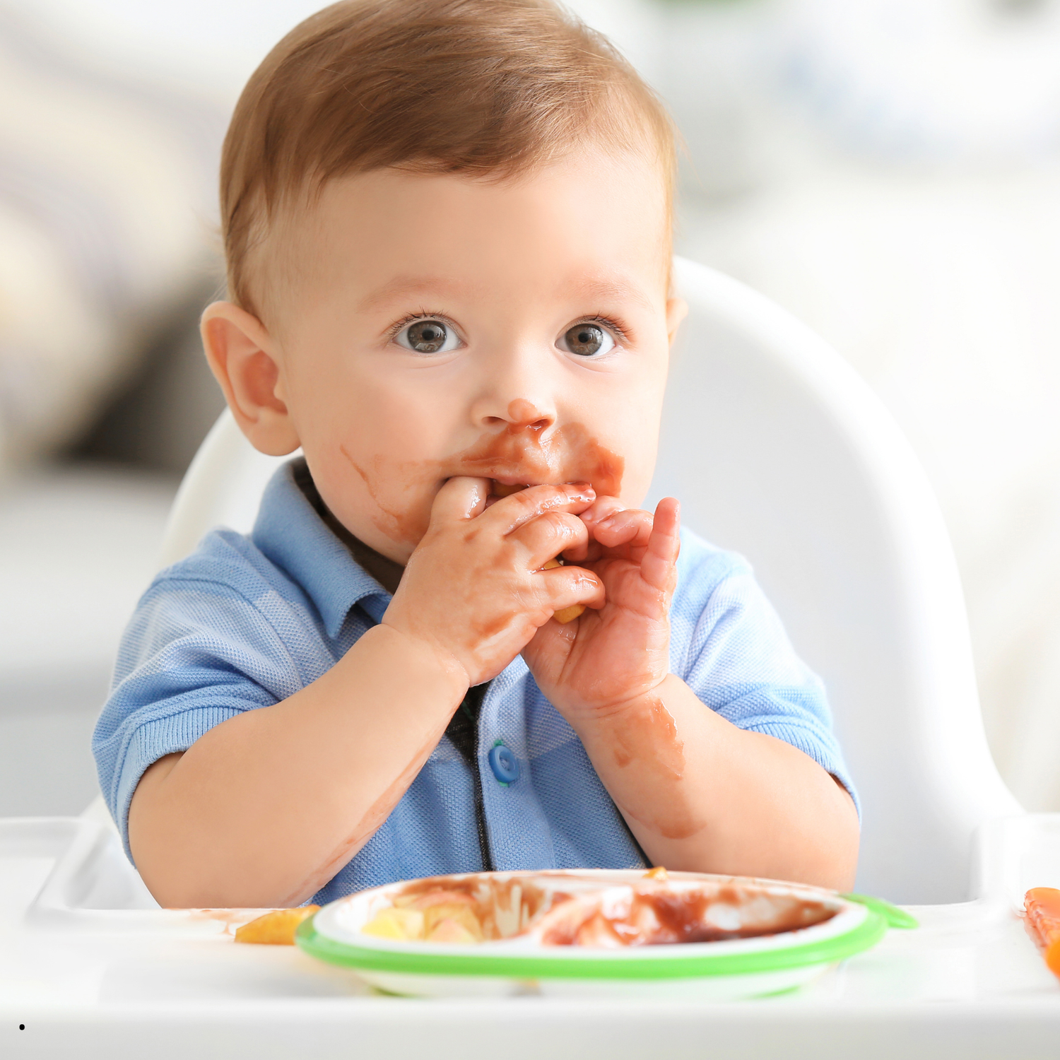 Alimentación