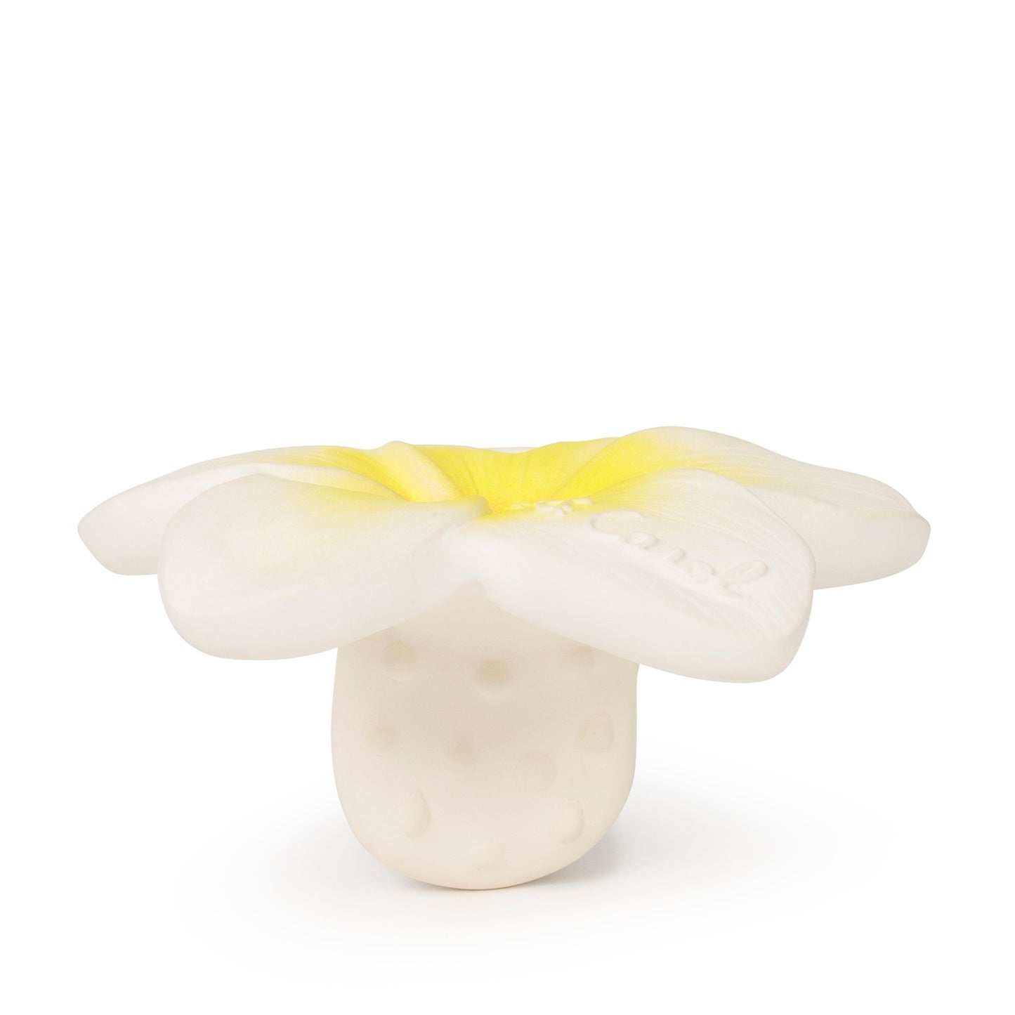 Mordedor Flor de Hawaii