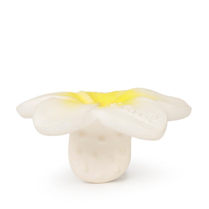 Mordedor Flor de Hawaii