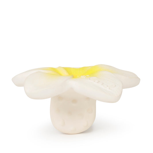 Mordedor Flor de Hawaii
