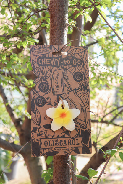 Mordedor Flor de Hawaii